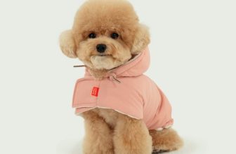 이번 주 인기 급상승! 강아지패딩 Best6