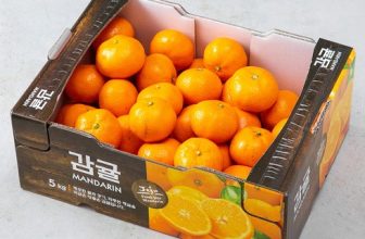 이번 주 특별 추천: 귤 Best6