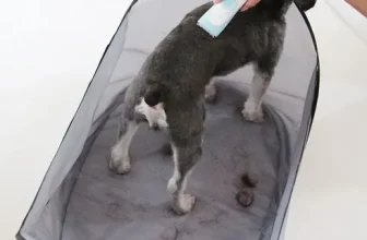 구매하고 후회없는 강아지미용거치대 짱짱짱!!