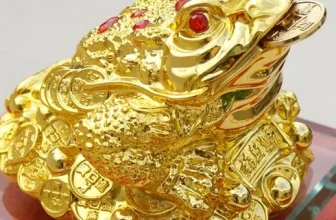 구매하고 후회없는 금두꺼비 제품리뷰