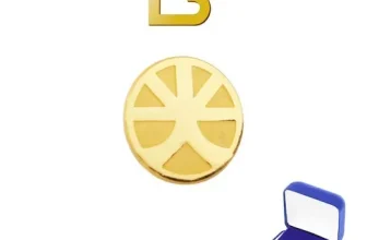 옆집에서 추천받은 금뱃지 ! 이걸로 구매 종결~~