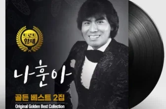 엄지척~! 나훈아lp 완전좋아!!!