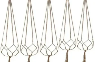 언니가 추천할게~! 레이스플랜트 짱짱짱!!