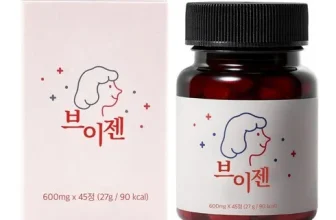 내돈내산!! 브이젠 효능 구매후기