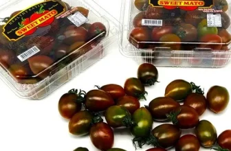 오늘 구매한 우듬지팜 짱짱짱!!