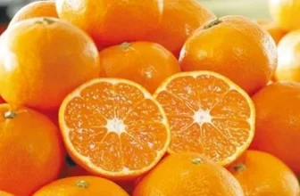 엄지척~! 감귤 너무 좋아요~