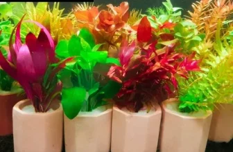 옆집에서 추천받은 구피어항수초 굿굿굿~