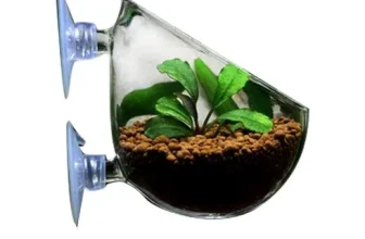 오늘 구매한 수초화분 할인좌표