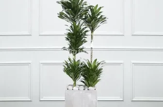 언니가 추천할게~! 콤팩타 제품리뷰