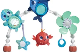 내돈내산!! 타이니모빌대여 ! 이걸로 구매 종결~~