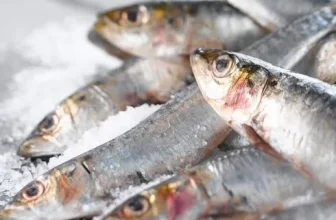 구매하고 후회없는 바다해씨푸드 비교분석