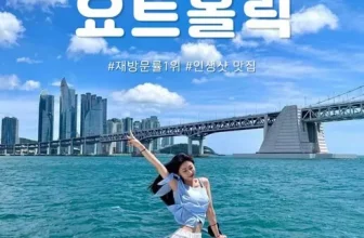 엄지척~! 부산요트퍼블릭투어 후기