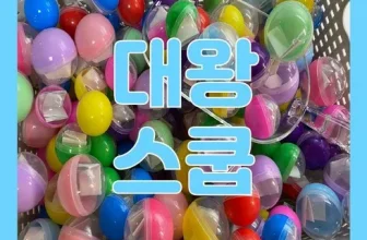 내돈내산!! 스쿱마켓 구매한 이유