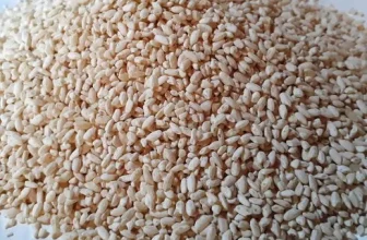 내돈내산!! 쌀누룩 추천합니다!