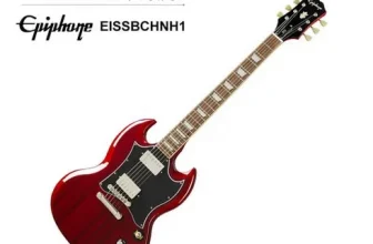 내돈내산!! 에피폰 완전좋아!!!