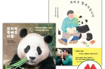 인생템~ 전지적푸바오시점 후기