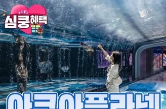 내돈내산!! 제주아쿠아플라넷 후기