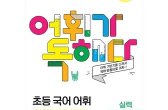 인생템~ 초등어휘 장점 단점 비교