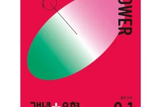 옆집에서 추천받은 개념플러스유형파워2-1 가격비교