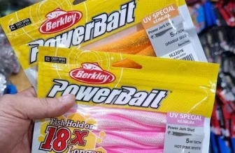 내돈내산!! 버클리저크쉐드 후기