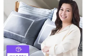 옆집에서 추천받은 브랜드리스베개 제품비교