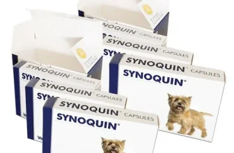 내돈내산!! 사이노퀸 제품비교