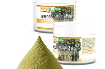 엄지척~! 엄나무순 장점 단점 비교