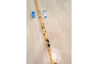 엄지척~! 연수목지팡이 후기