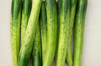 엄지척~! 오이 비교분석