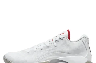 옆집에서 추천받은 자이언3 가격비교