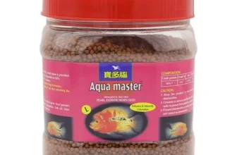 오늘 구매한 혈앵무 후기