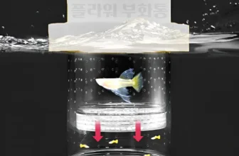 오늘 구매한 구피산란통 제품비교