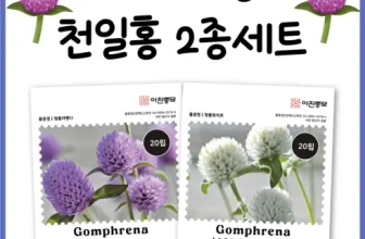 엄지척~! 야미가든 장점 단점 비교